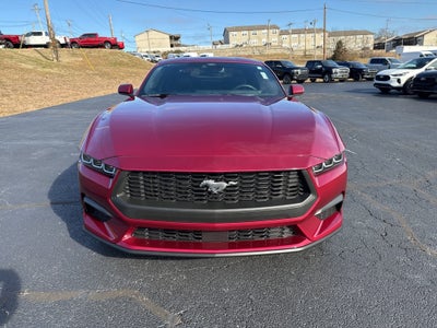 2025 Ford Mustang EcoBoost Premium Fastback
