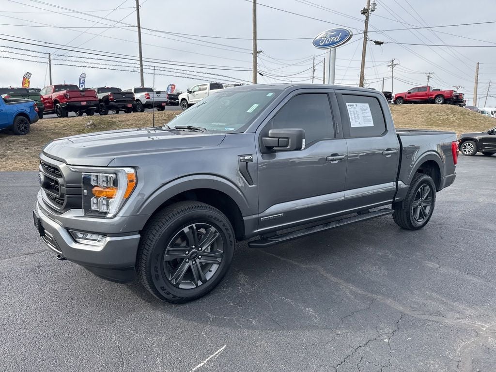 2023 Ford F-150 XLT