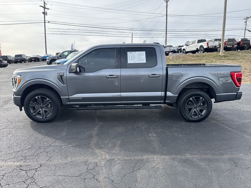 2023 Ford F-150 XLT