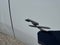 2026 Dodge Charger CHARGER R/T PLUS 4-DOOR AWD